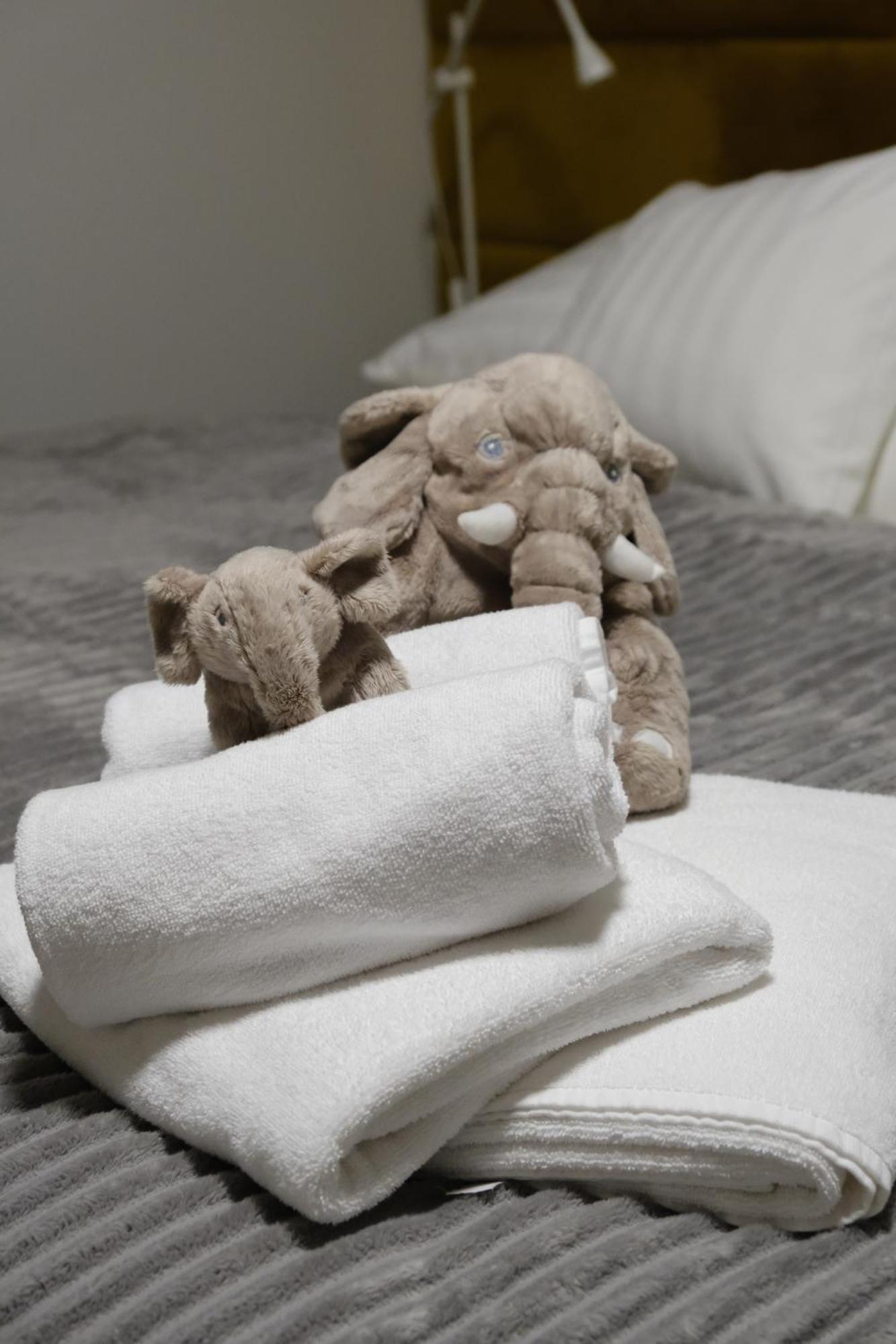Apartmany U Lesa Dolni Morava Bilik gambar